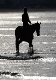 劫婚1-40集全免费